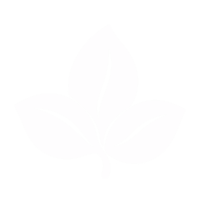 Basilic