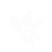 Eglantier