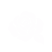 Pétales de rose