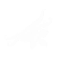 Vanille