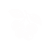 Canneberge