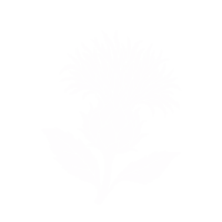 Carthame