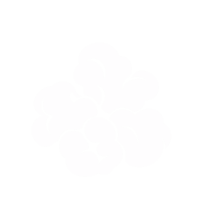 Pop-corn